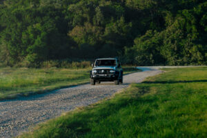 4_DSC3388-Enhanced-NR-Edit