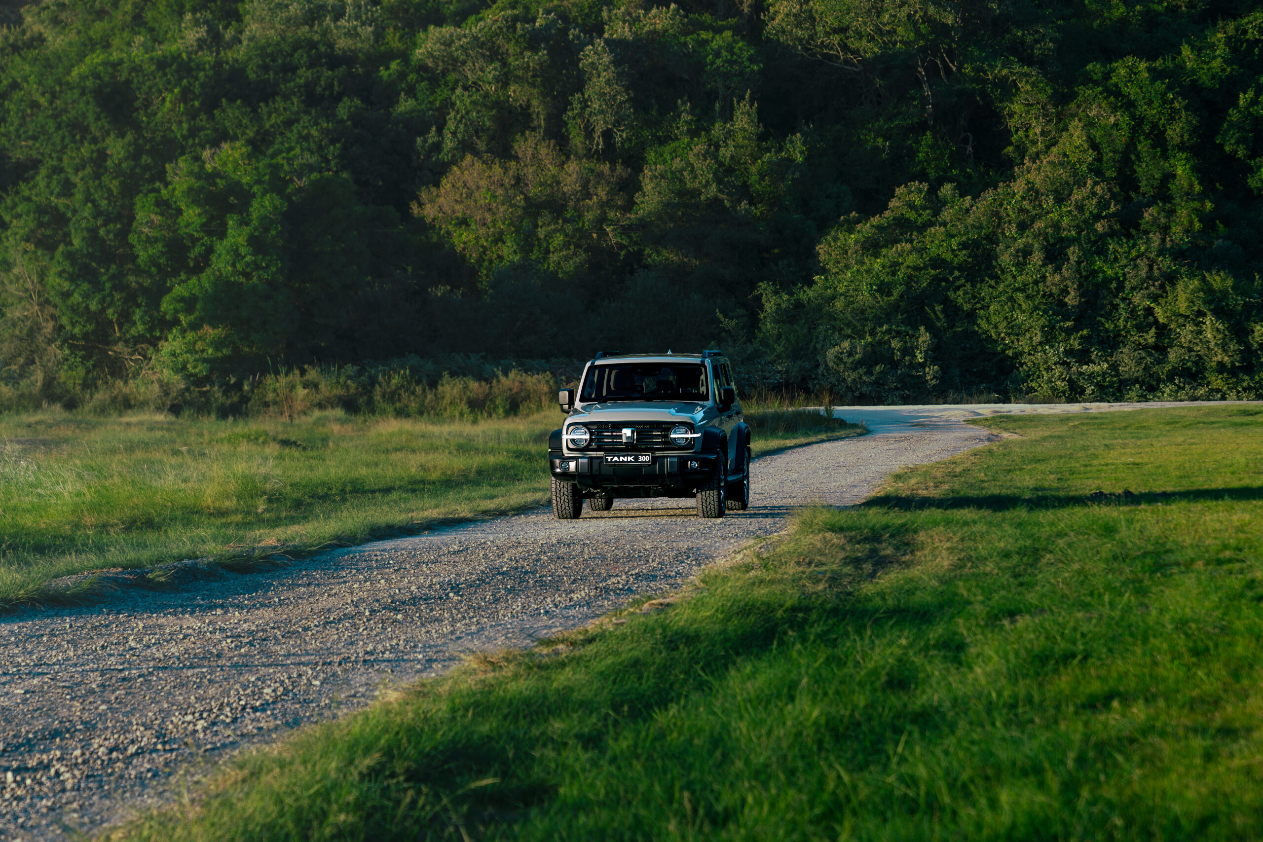 4_DSC3388-Enhanced-NR-Edit