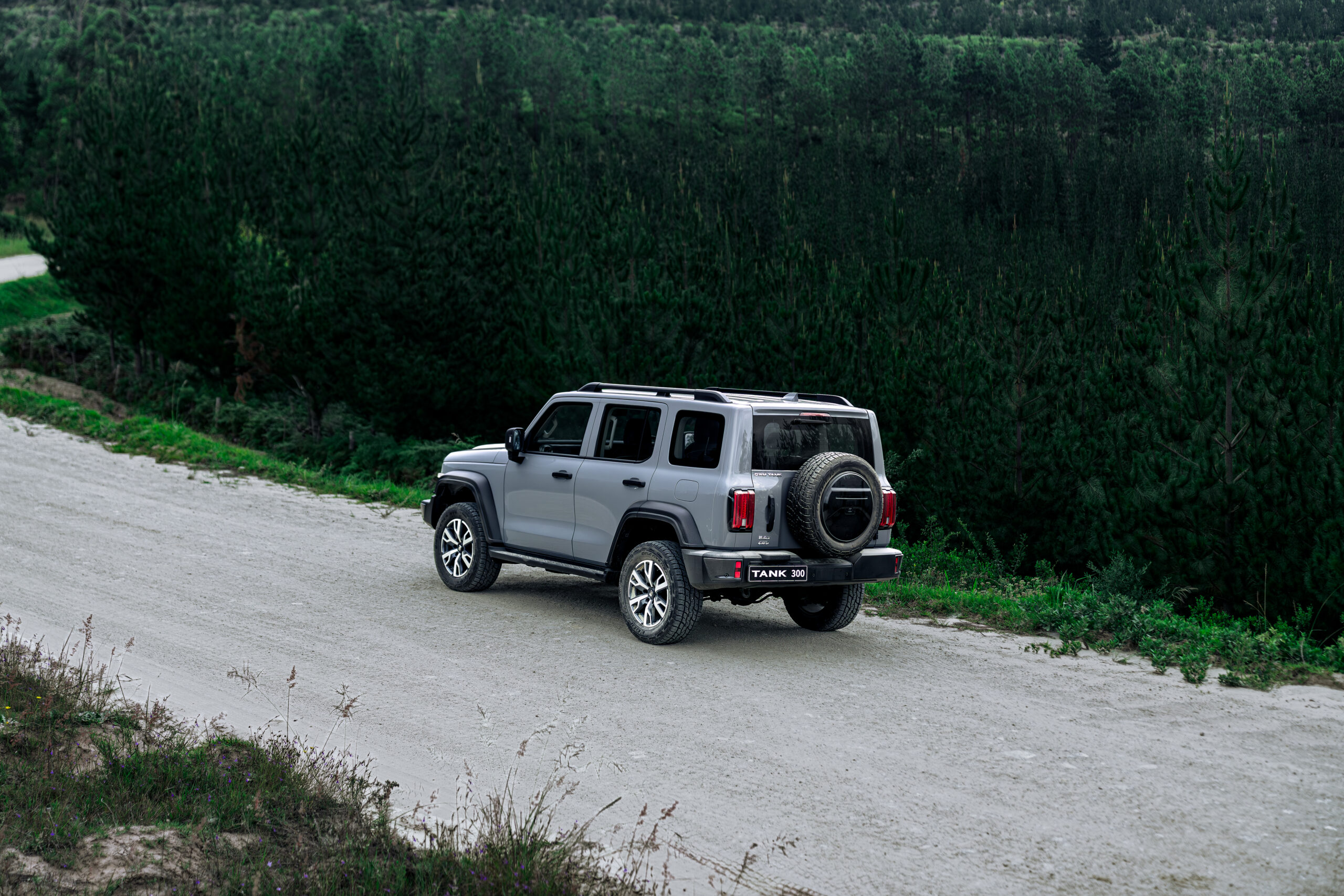 7_DSC3568-Enhanced-NR-Edit