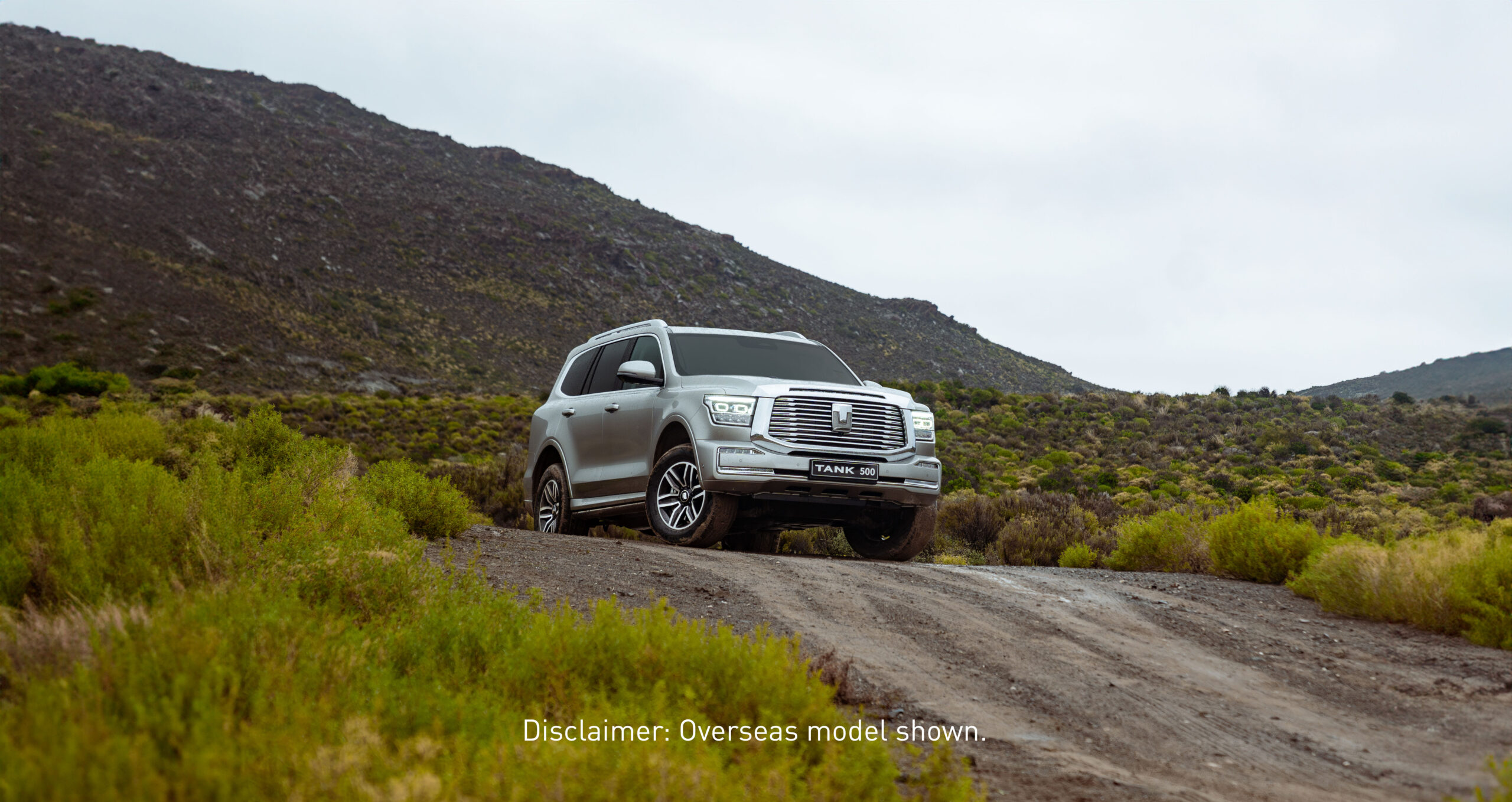 _DSC6269-Enhanced-NR-Edit