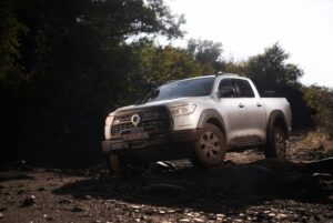 MY23-P SERIES LTD_3QFL_SILVER_ROCKS_P